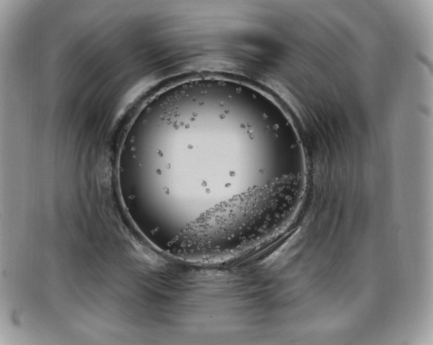 X0000099301115200805021225