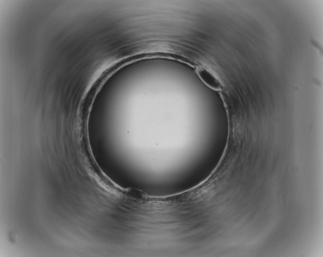 X0000099301116200805021225