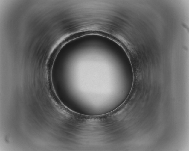 X0000099301118200805021225