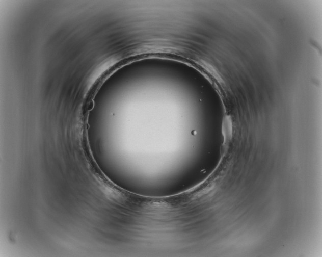 X0000099301119200805021225