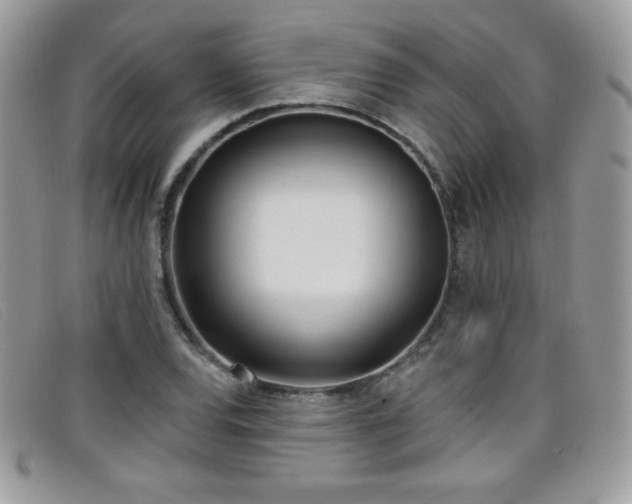 X0000099301120200805021225