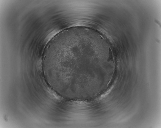 X0000099301121200805021225