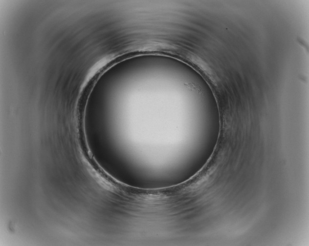 X0000099301122200805021225