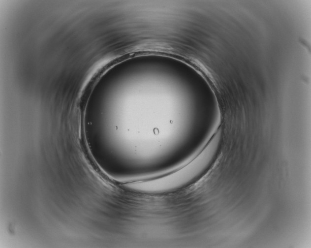 X0000099301123200805021225