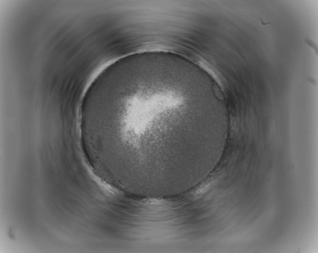 X0000099301124200805021225