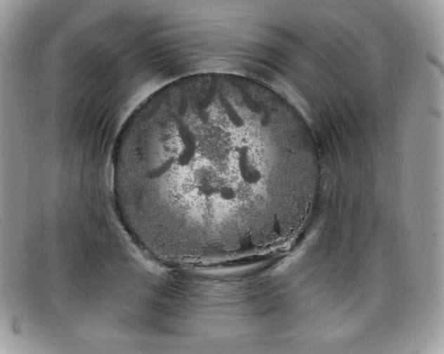 X0000099301125200805021225