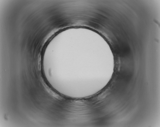 X0000099301126200805021225