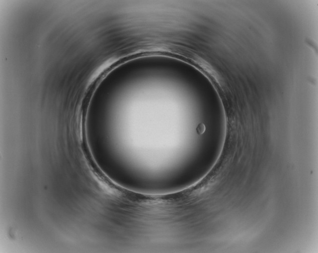 X0000099301127200805021225