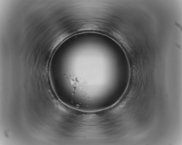 X0000099301129200805021225