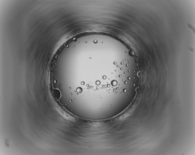 X0000099301130200805021225