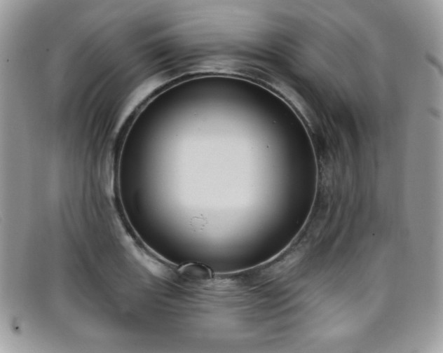 X0000099301131200805021225