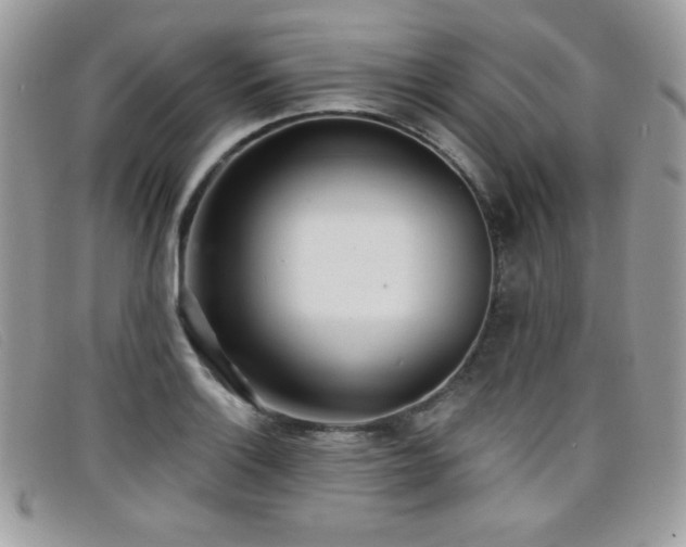 X0000099301132200805021225