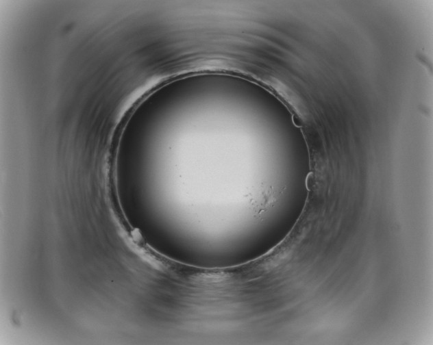 X0000099301134200805021225