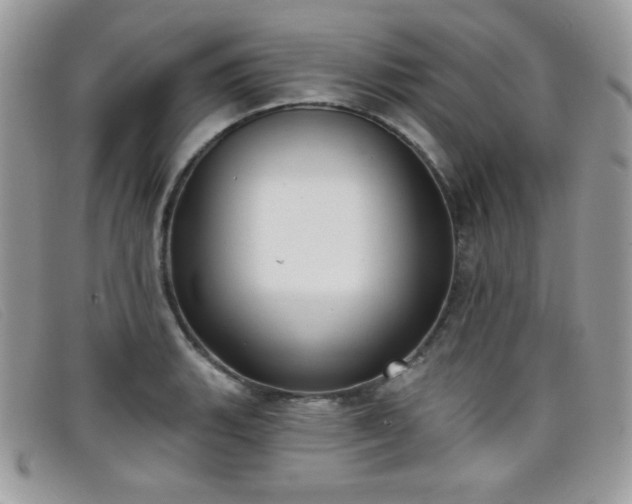 X0000099301135200805021225