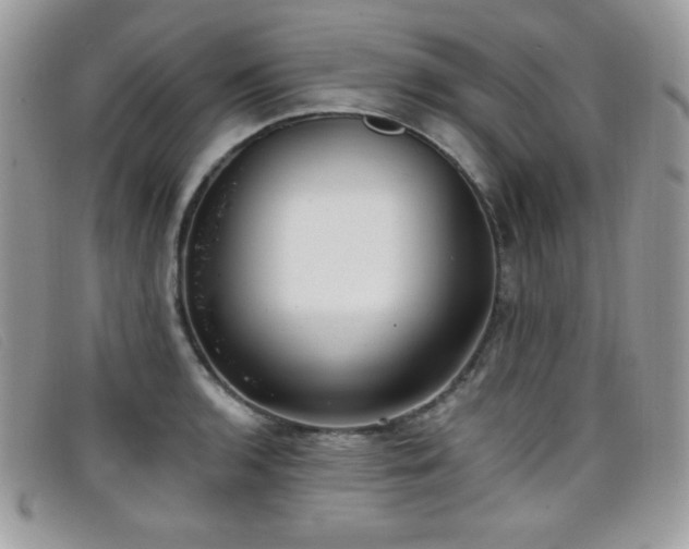 X0000099301136200805021225