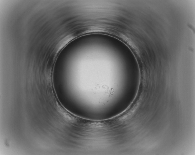 X0000099301137200805021225