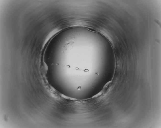 X0000099301138200805021225