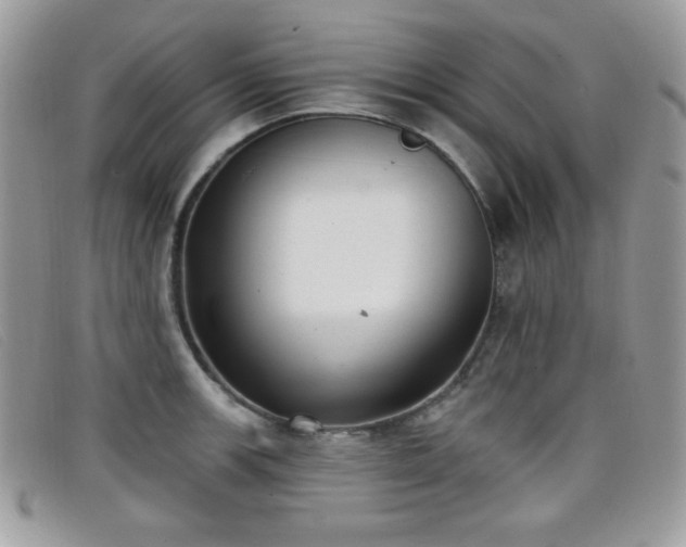 X0000099301139200805021225