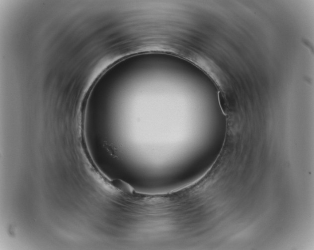 X0000099301140200805021225