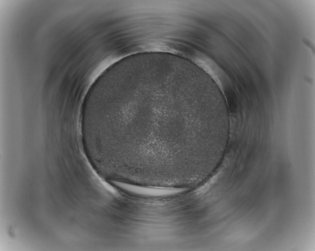 X0000099301141200805021225