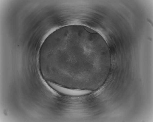 X0000099301142200805021225