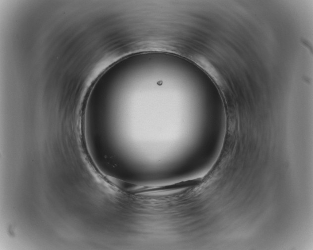 X0000099301144200805021226