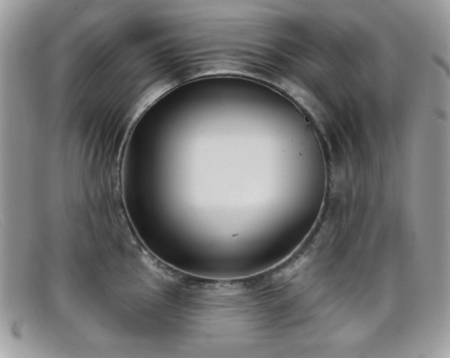 X0000099301145200805021226