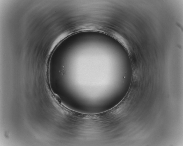 X0000099301146200805021226