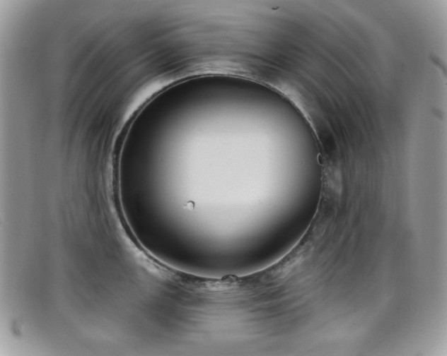 X0000099301147200805021226