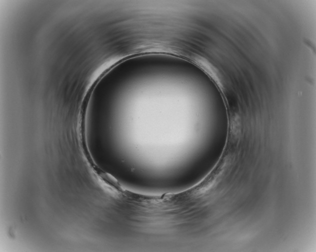 X0000099301149200805021226