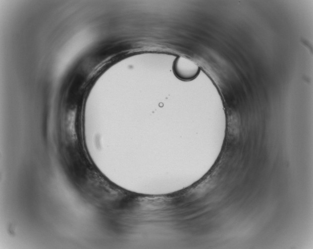 X0000099301150200805021226