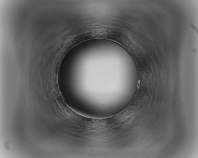 X0000099301153200805021225