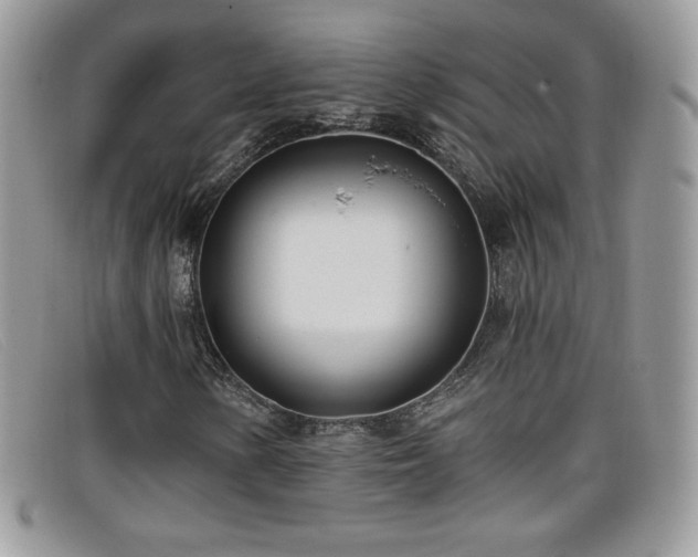 X0000099301154200805021225