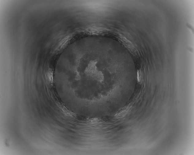 X0000099301155200805021225