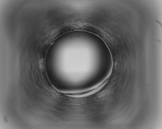 X0000099301156200805021225