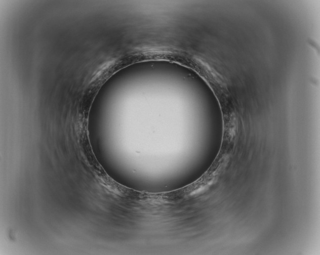 X0000099301157200805021225