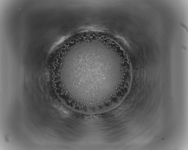 X0000099301159200805021225