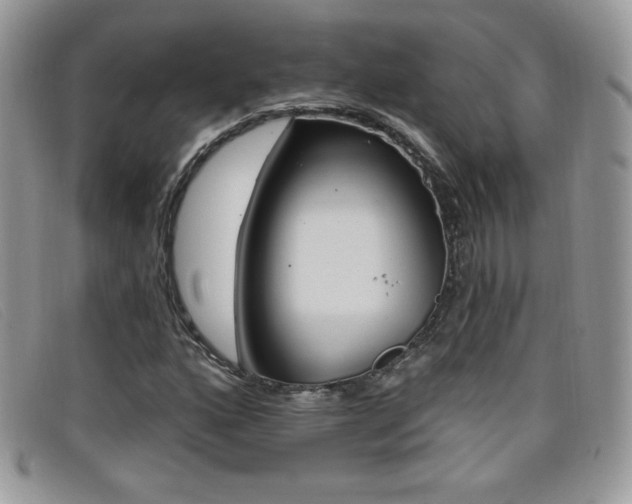 X0000099301160200805021225