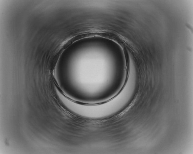 X0000099301161200805021225