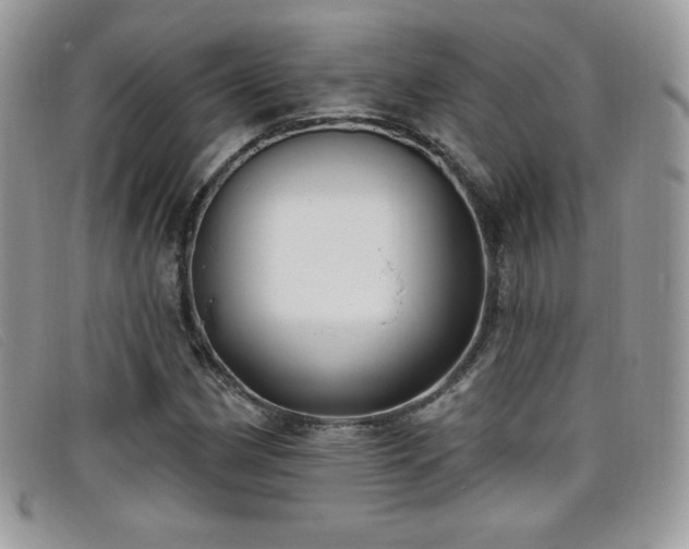 X0000099301162200805021225