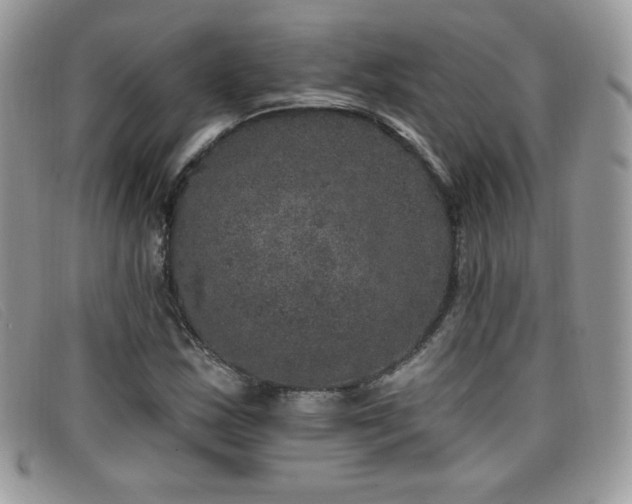 X0000099301163200805021225