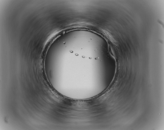 X0000099301164200805021225