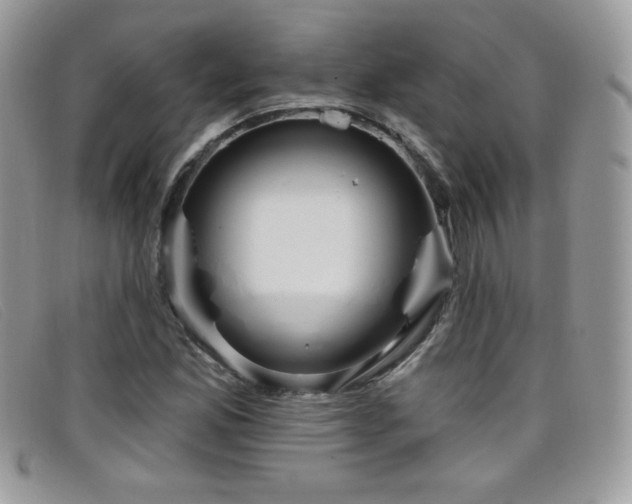 X0000099301165200805021225