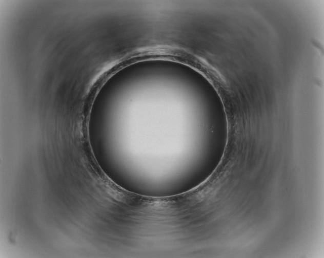 X0000099301166200805021225