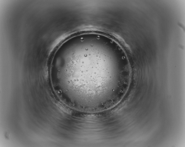 X0000099301167200805021225