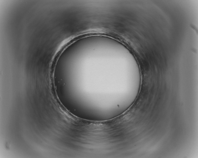 X0000099301168200805021225