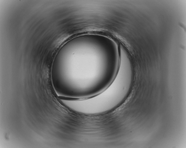 X0000099301169200805021225