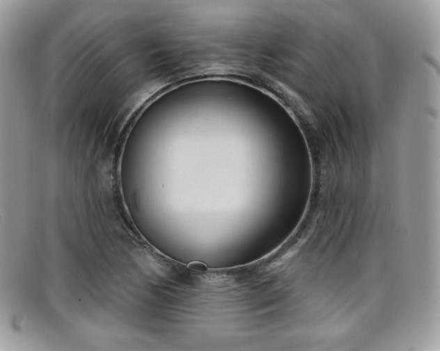 X0000099301170200805021225