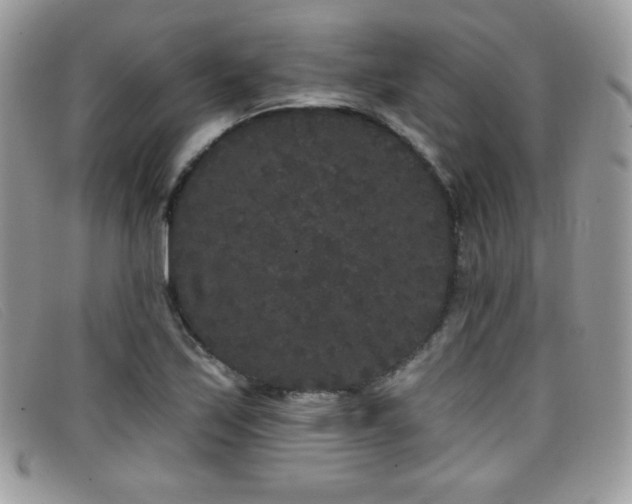 X0000099301171200805021225