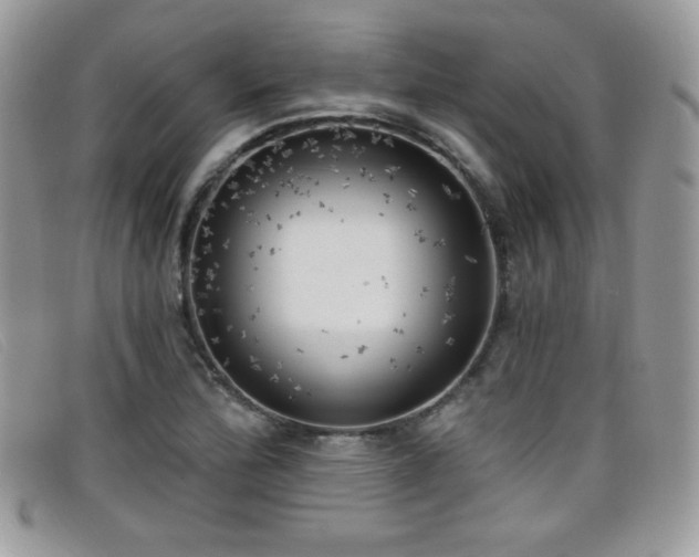 X0000099301172200805021225